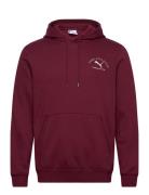 Puma Class Graphic Hoodie Fl Tops Sweatshirts & Hoodies Hoodies Burgun...