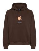 Standard Hoodie Tops Sweatshirts & Hoodies Hoodies Brown Quiksilver