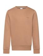 Sweatshirt Tops Sweatshirts & Hoodies Sweatshirts Beige BOSS