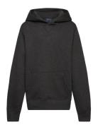 Fleece Hoodie Tops Sweatshirts & Hoodies Hoodies Grey Ralph Lauren Kid...