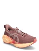 Novablast 5 Sport Sport Shoes Sport Running Shoes Pink Asics