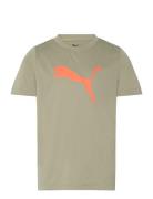 Tad Ess Cat Logo Tee B Sport T-Kortærmet Skjorte Green PUMA