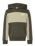 Ess Block Small Logo Hoodie Fl B Sport Sweatshirts & Hoodies Hoodies G...