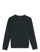 Tonal Crew Neck Sweatshirt Tops Sweatshirts & Hoodies Sweatshirts Navy...