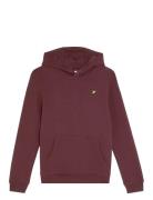 Brush Back Pullover Hoodie Tops Sweatshirts & Hoodies Hoodies Burgundy...