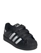 Superstar Ii Cf C Low-top Sneakers Black Adidas Originals