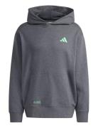Mer Ps Hood M Sport Sport Clothing Sport Sweatshirts & Hoodies Sport H...