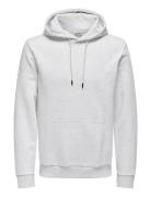 Onsceres Hoodie Sweat Noos Tops Sweatshirts & Hoodies Hoodies Grey ONL...