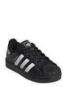 Superstar Ii C Low-top Sneakers Black Adidas Originals