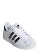 Superstar Ii J Low-top Sneakers White Adidas Originals