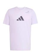 Padel Graphic Tee Sport Men Sports Clothes Sport Tops Sport T-Skjorte ...