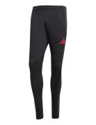 Lfc Tr Pnt Sport Men Sport Clothing Sport Pants Sport Training Pants B...