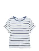 Striped T-Shirt With Contrasting Collar Tops T-Kortærmet Skjorte White...