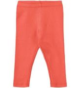 Wheat Leggings - Rib - Maddy - Candy Red