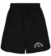 Champion Shorts - Sort