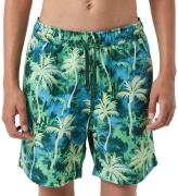 Björn Borg Badeshorts - Print - Grøn/Blå m. Palmer